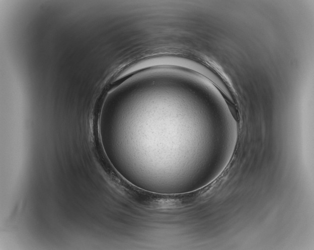 X0000115550154200911131612