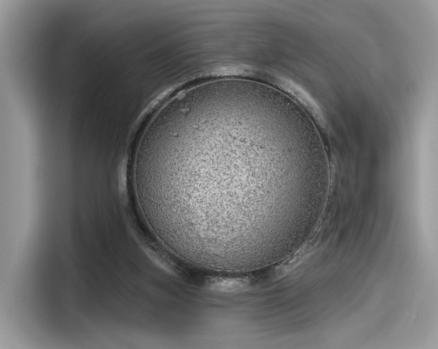 X0000115550155200911131612