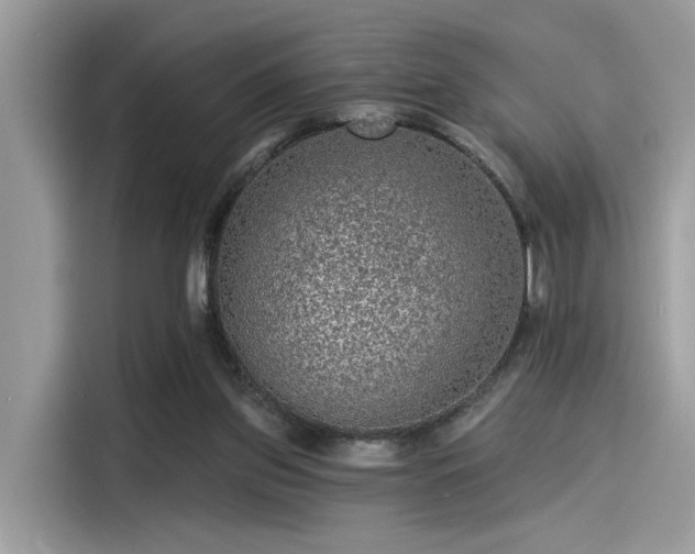 X0000115550157200911131613