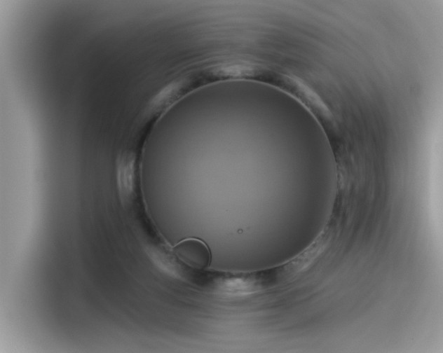 X0000115550163200911131613