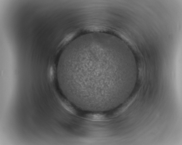 X0000115550165200911131613