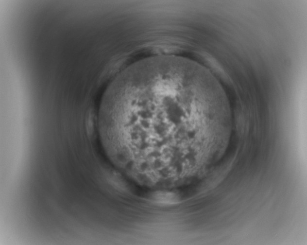 X0000115550169200911131613