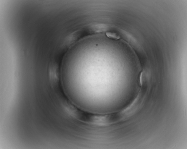 X0000115550170200911131613