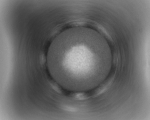 X0000115550173200911131613