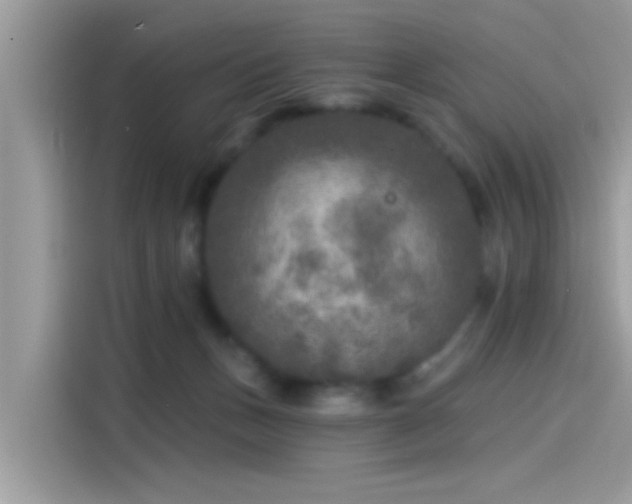 X0000115550175200911131613