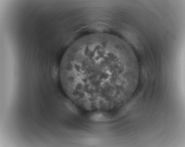 X0000115550177200911131613