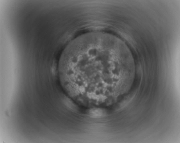 X0000115550181200911131613