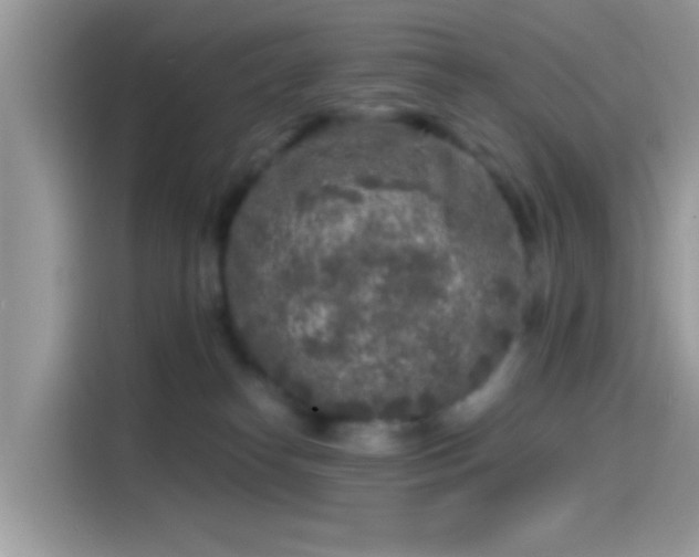 X0000115550182200911131613