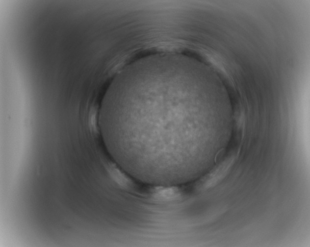 X0000115550185200911131613