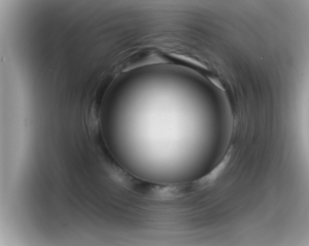 X0000115550186200911131613