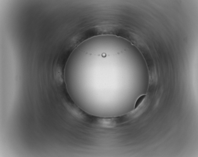 X0000115550187200911131613