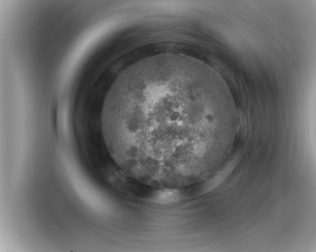 X0000115550189200911131613