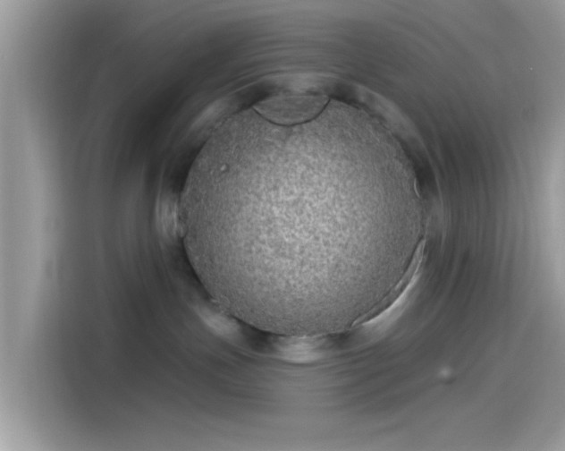 X0000115550191200911131613