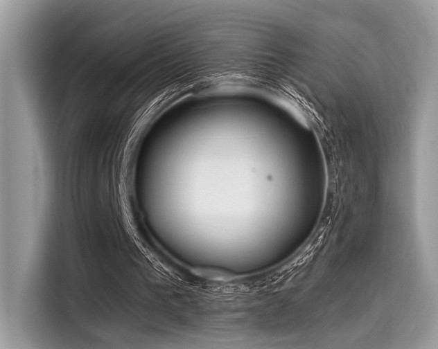 X0000115550193200911131612