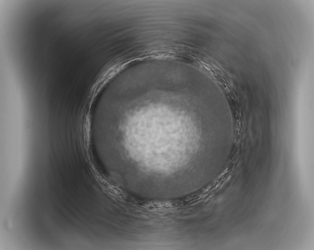 X0000115550194200911131612