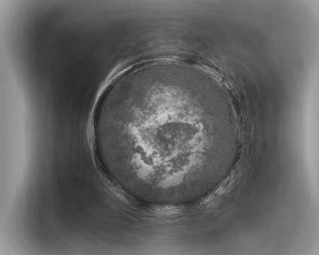 X0000115550198200911131612