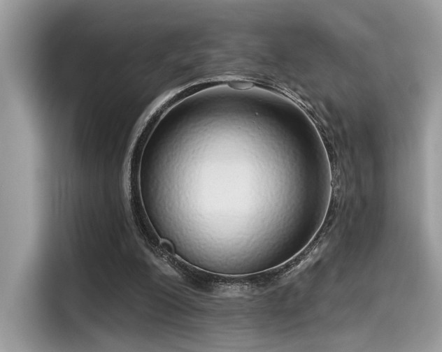 X0000115550200200911131612