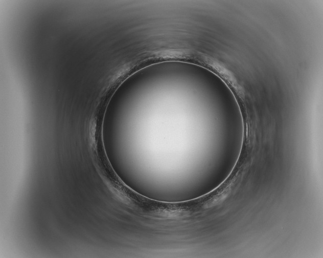 X0000115550201200911131612