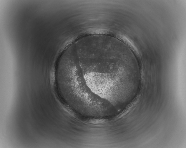 X0000115550202200911131612