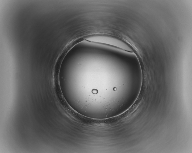 X0000115550203200911131612