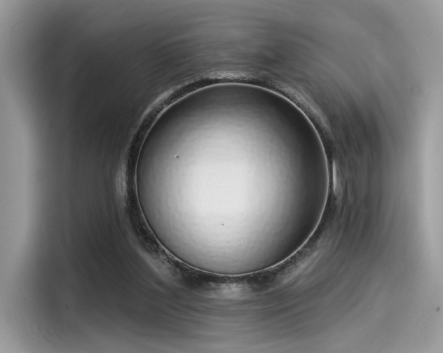 X0000115550204200911131612