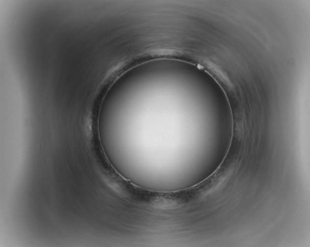 X0000115550207200911131612