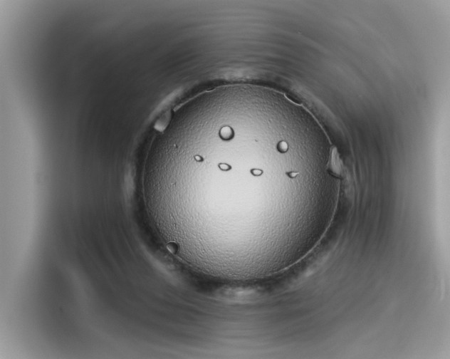 X0000115550208200911131612