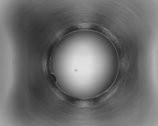 X0000115550209200911131612