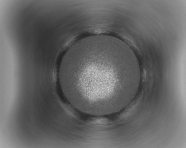 X0000115550210200911131612