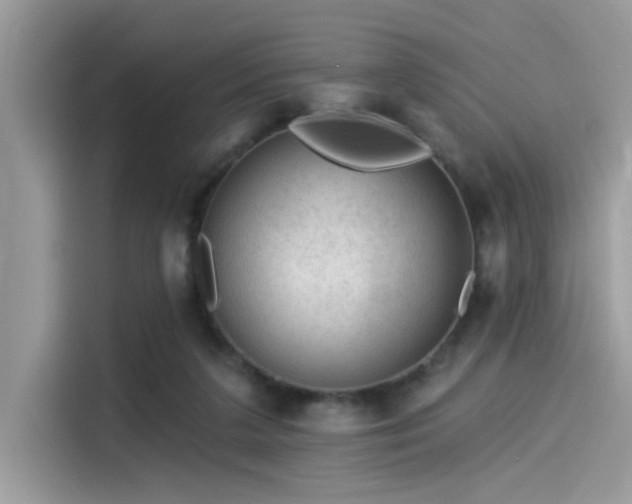 X0000115550211200911131612