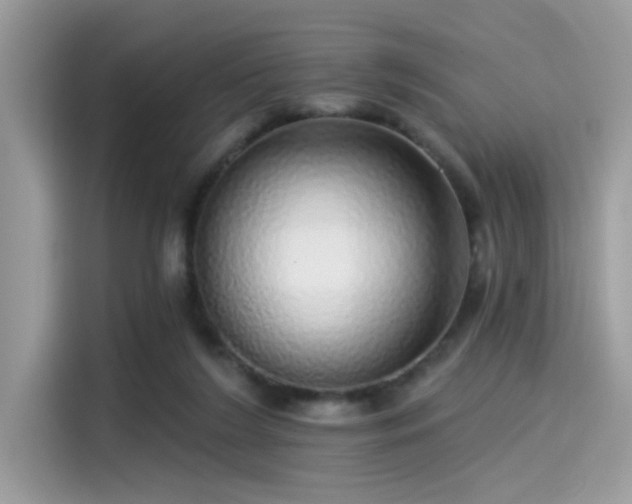 X0000115550212200911131612