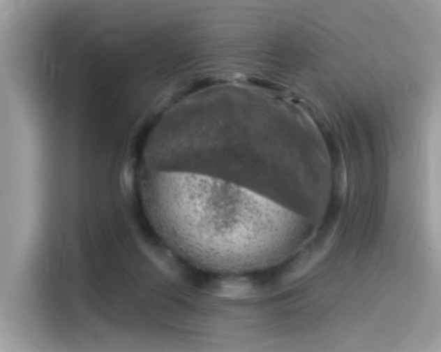 X0000115550214200911131612