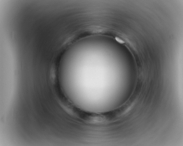 X0000115550215200911131612