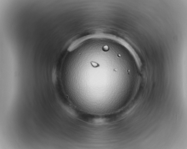 X0000115550216200911131612