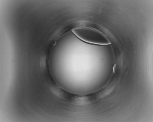 X0000115550217200911131612