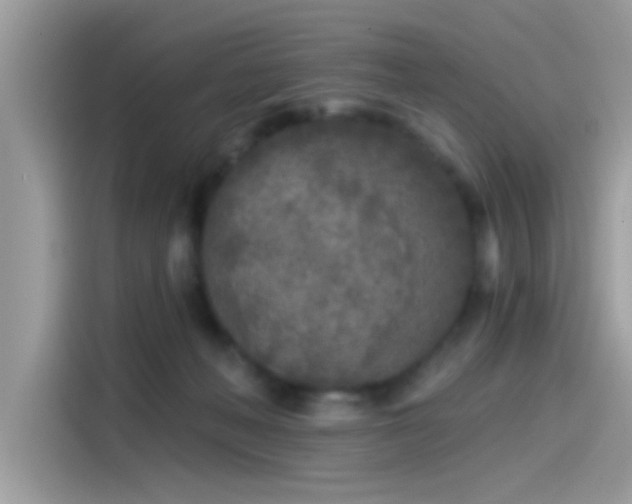 X0000115550222200911131612