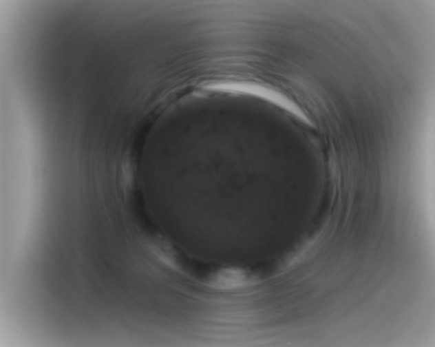 X0000115550227200911131612