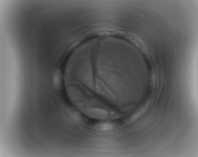 X0000115550228200911131612