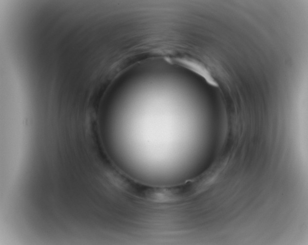 X0000115550229200911131612