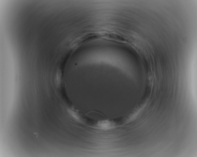 X0000115550231200911131612