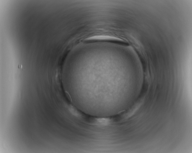 X0000115550233200911131612