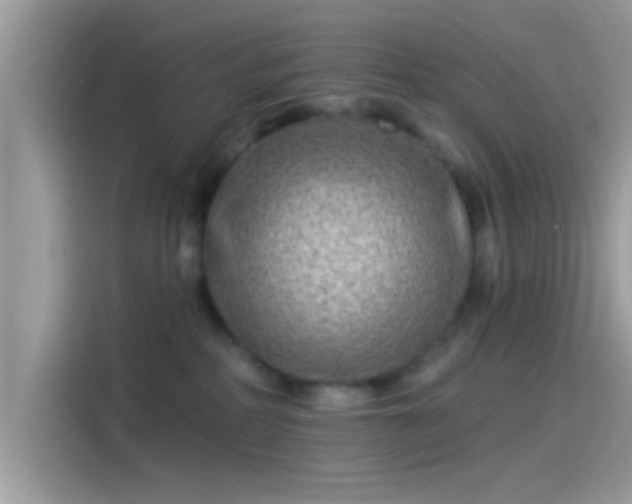 X0000115550234200911131612