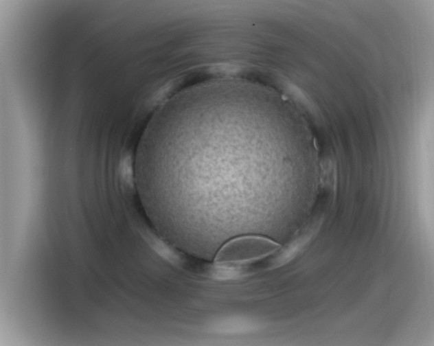 X0000115550238200911131612