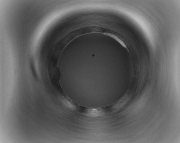 X0000115550239200911131612