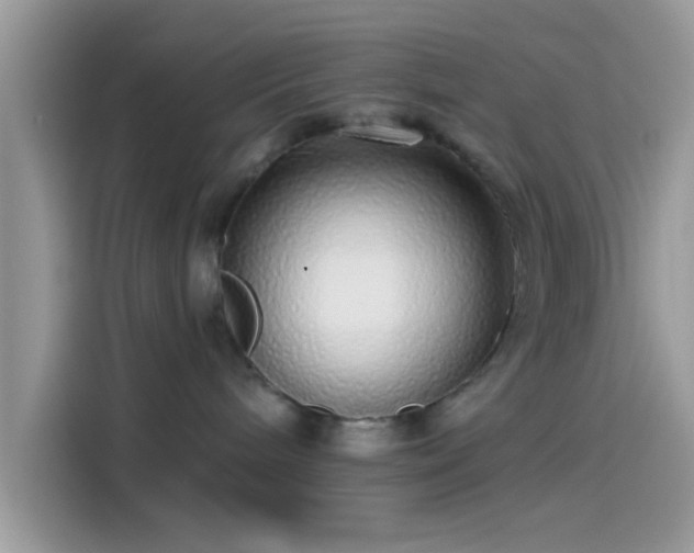 X0000115550240200911131611