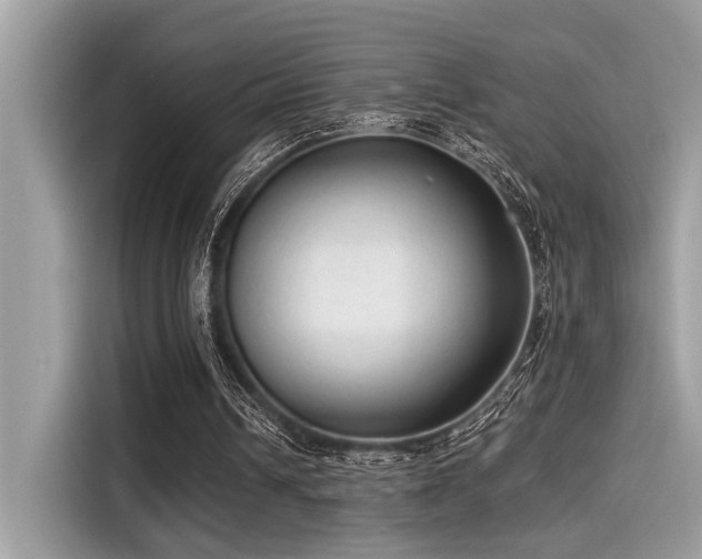 X0000115550242200911131611