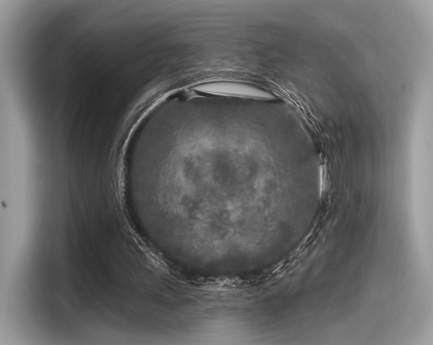 X0000115550243200911131611