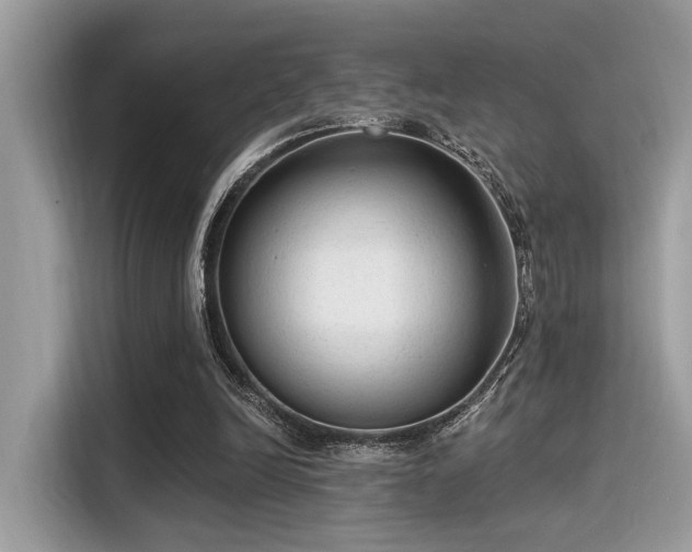 X0000115550246200911131611