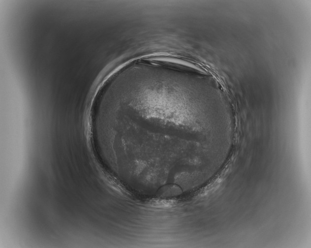 X0000115550247200911131611