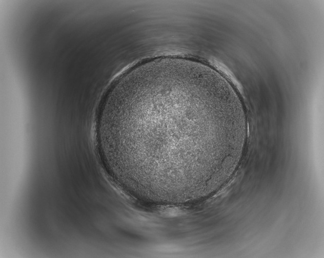 X0000115550249200911131611